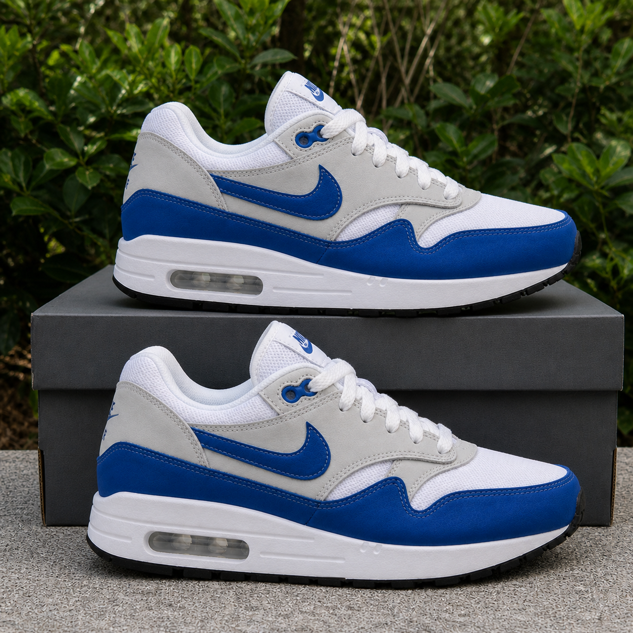 Cushioned Air MAX 1 SE